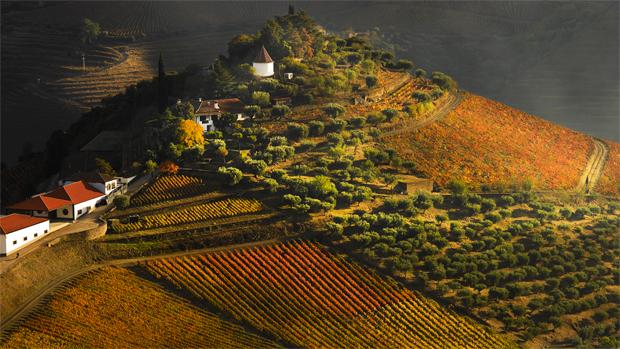 Quinta do Crasto Image 2